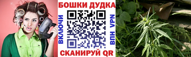 цена наркотик  Кологрив  Конопля гибрид 